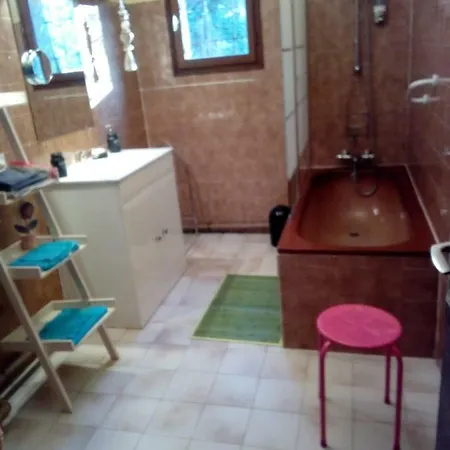 Apartment Napoleon *